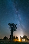 Milky Way & Dąb w Żylinach - 30.08.2019